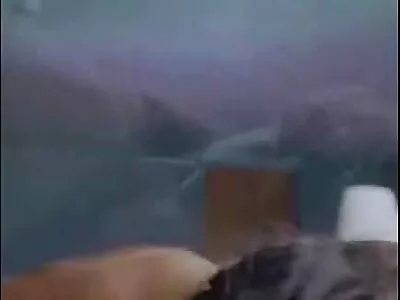 Kedi brazzer konulu porno yalama için asosyal güzellik harika oral seks ile BF'yi ödüllendiriyor