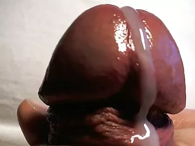 Genç hatun Whitney Wright konulu brazzer porno oral seks ve vajinal seks seviyor