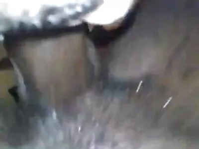 Rocco ve bebekleriyle konulu pirn muhteşem üçlü