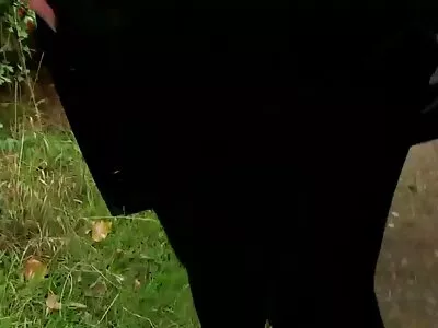 Tatlı görünümlü kız, horozunu birçok farklı pozisyonda memnuniyetle hd konulu por alacak
